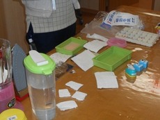 s2015.6.3 1.jpg